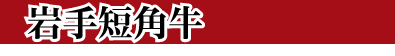 岩手短角牛